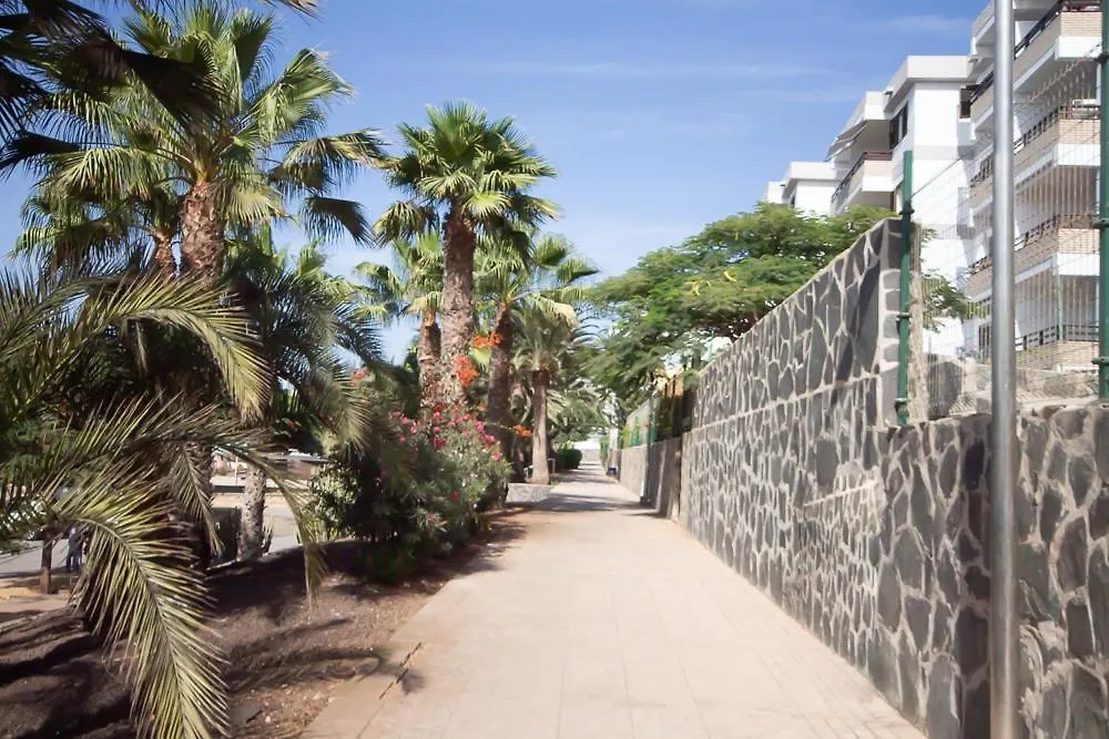 Apartamentos Tarahal San Agustín 3*,